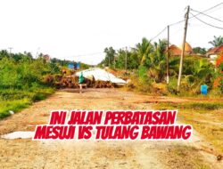 Jalan perbatasan antara Kabupaten Mesuji dan Tulangbawang memprihatinkan